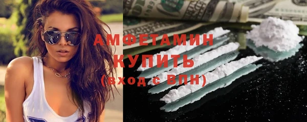 стаф Чердынь