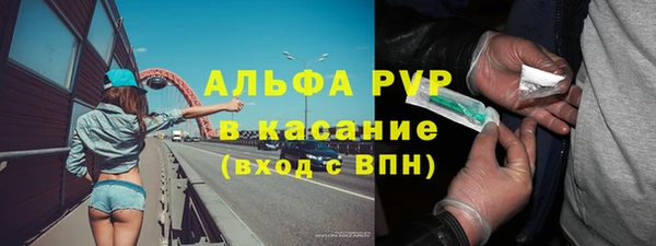 стаф Чердынь