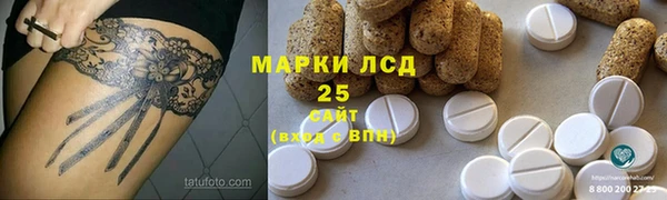 стаф Чердынь