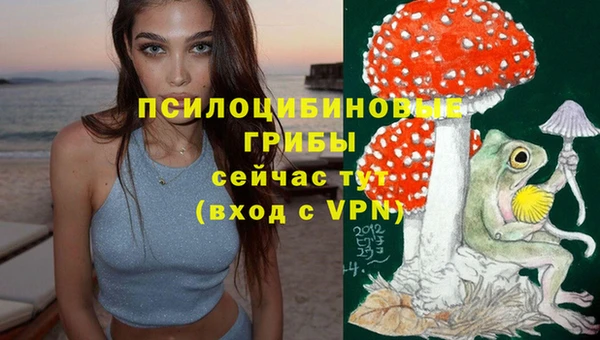 каннабис Чегем