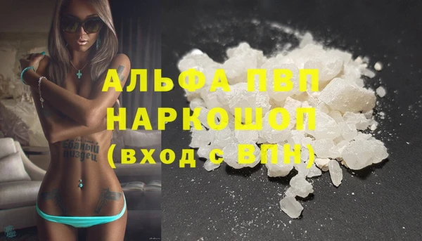 стаф Чердынь