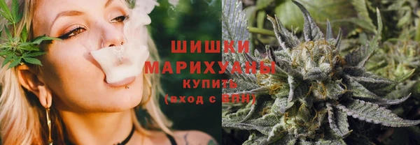 стаф Чердынь