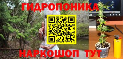 дурь Берёзовский