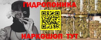 дурь Берёзовский