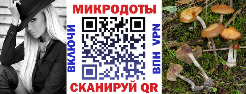Галлюциногенные грибы Magic Shrooms  как найти   Ессентуки 