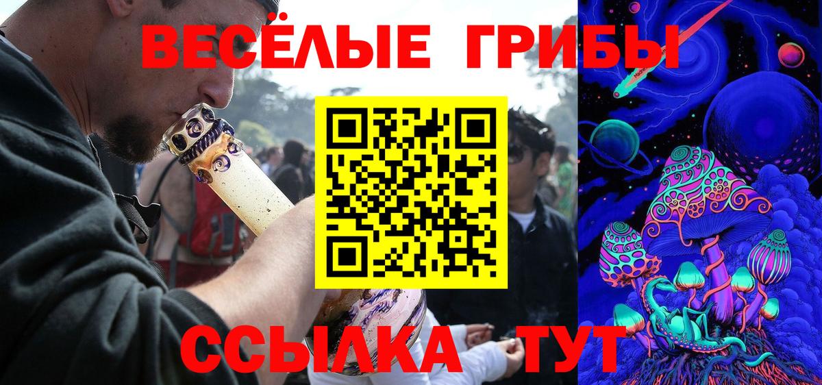 Псилоцибиновые грибы ЛСД  Псилоцибиновые грибы прущие грибы  Вход с VPN  Ессентуки 