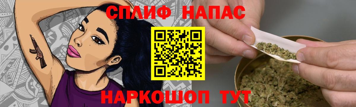 Канабис план Ессентуки